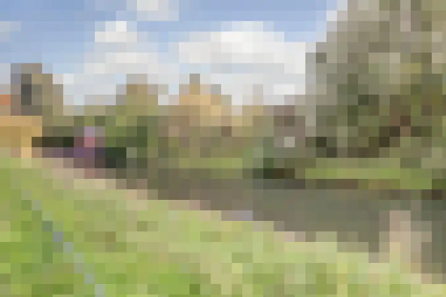 Schavenmolenstraat 49 Arnhem thumbnail 53