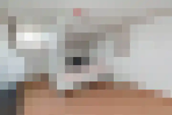 Schaweg 8 Mookhoek thumbnail 13