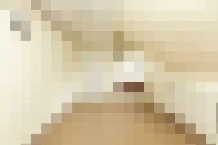 Schaweg 8 Mookhoek thumbnail 24