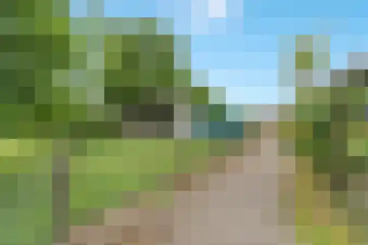 Schaweg 8 Mookhoek thumbnail 30