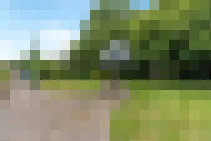Schaweg 8 Mookhoek thumbnail 31