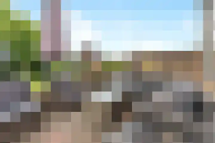 Schaweg 8 Mookhoek thumbnail 32