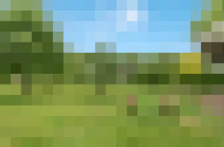 Schaweg 8 Mookhoek thumbnail 33
