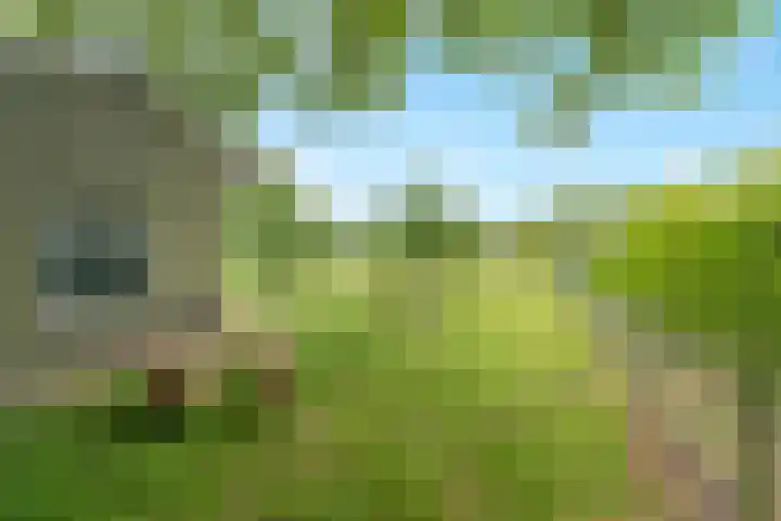 Schaweg 8 Mookhoek thumbnail 34