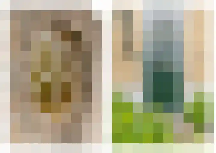 Schaweg 8 Mookhoek thumbnail 37