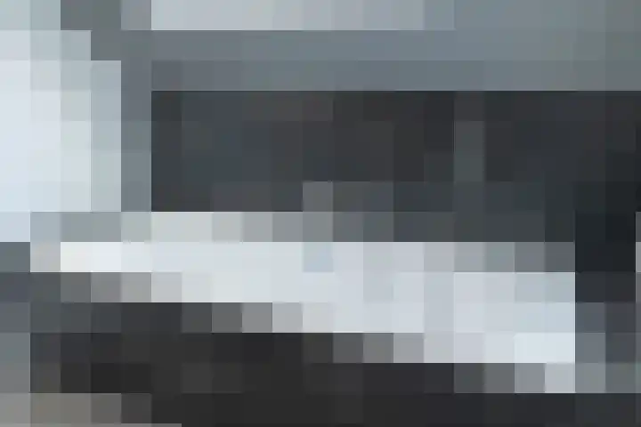 Scheefkelk 10 Duiven thumbnail 16