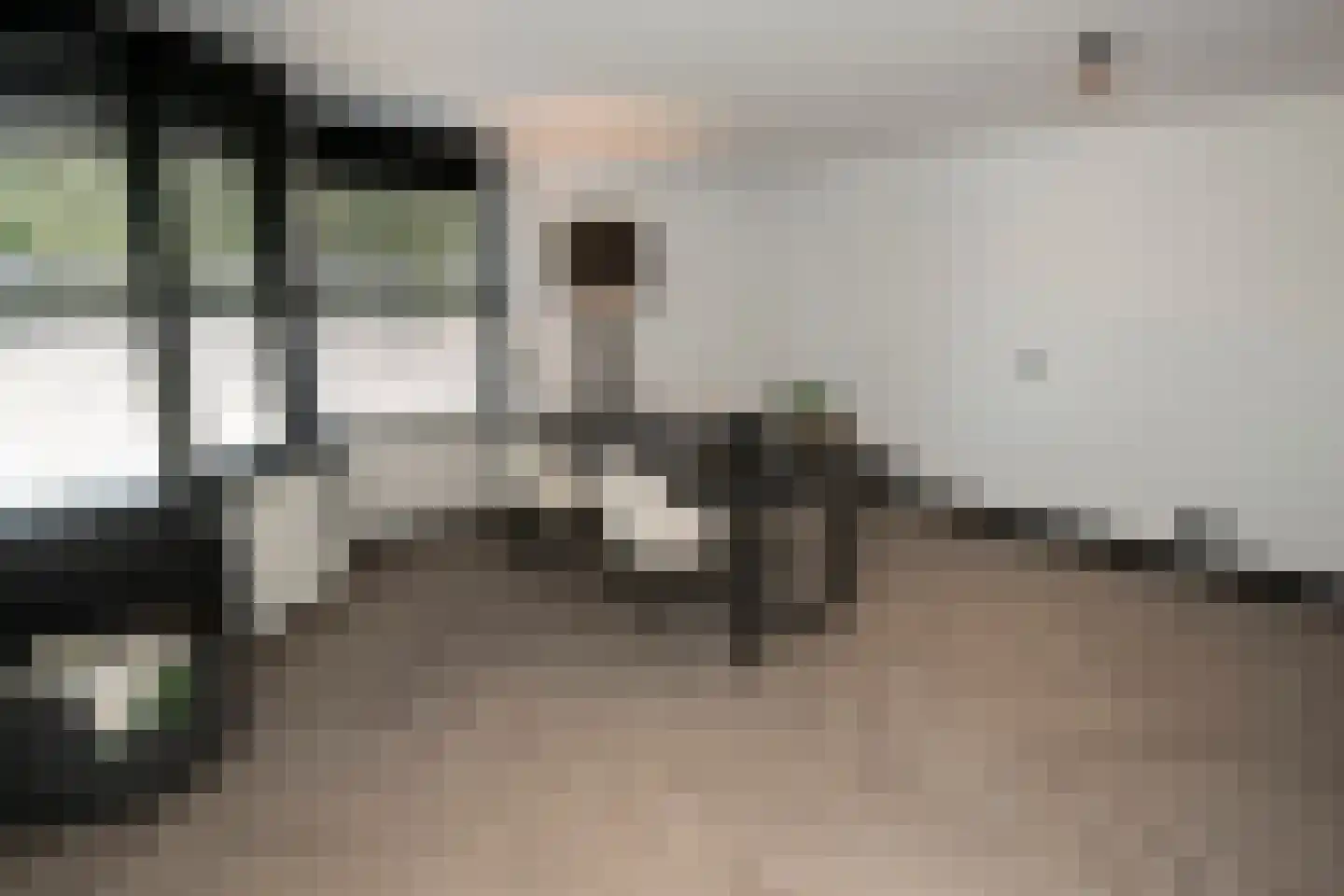 Scheefkelk 10 Duiven thumbnail 17