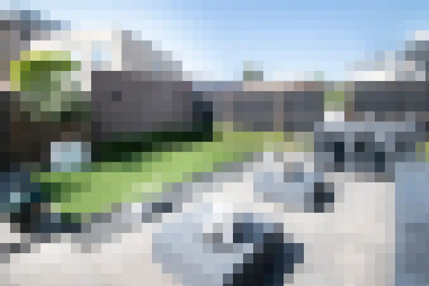 Scheefkelk 10 Duiven thumbnail 6