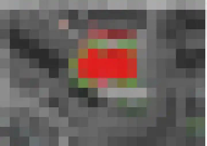 Scheefkelk 2 Duiven thumbnail 10