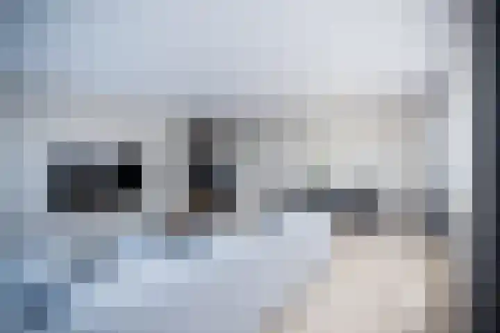 Scheefkelk 2 Duiven foto 3