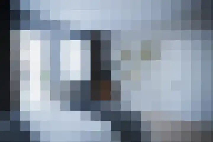 Scheefkelk 2 Duiven thumbnail 4