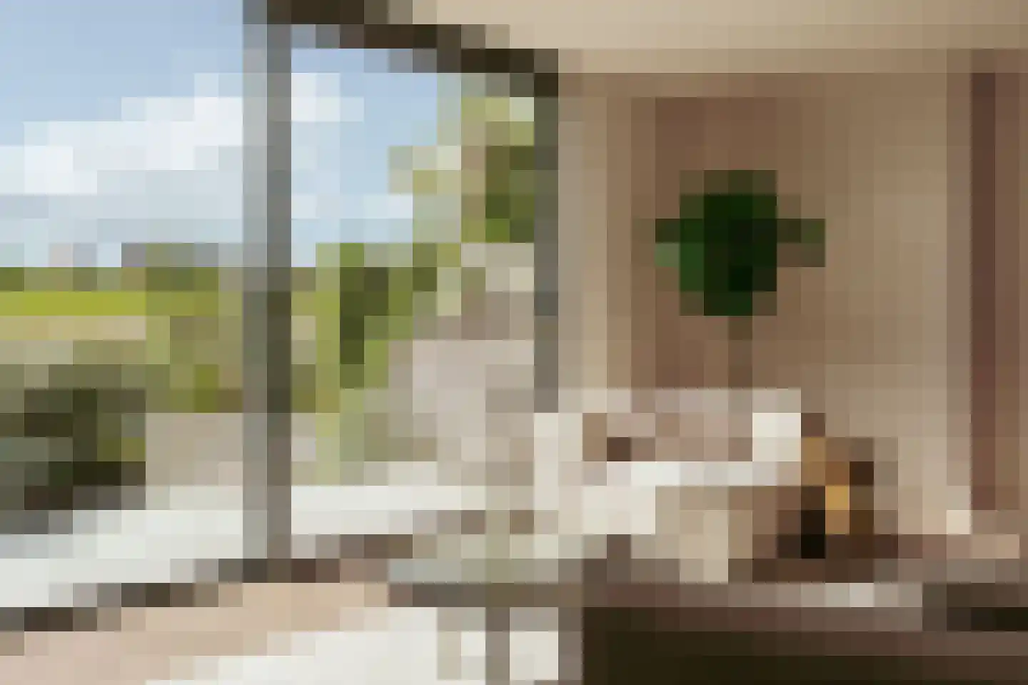 Scheefkelk 2 Duiven thumbnail 5