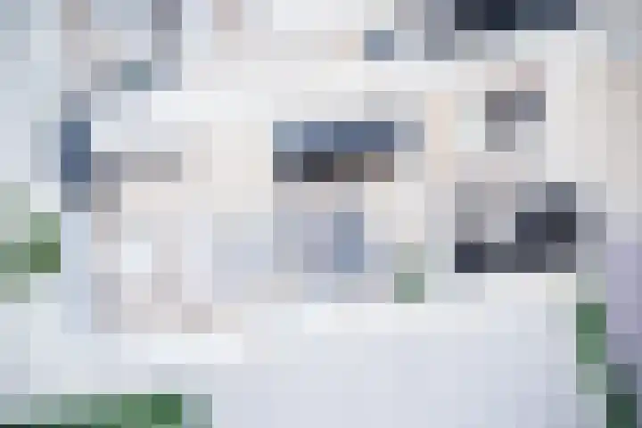 Scheefkelk 2 Duiven thumbnail 5