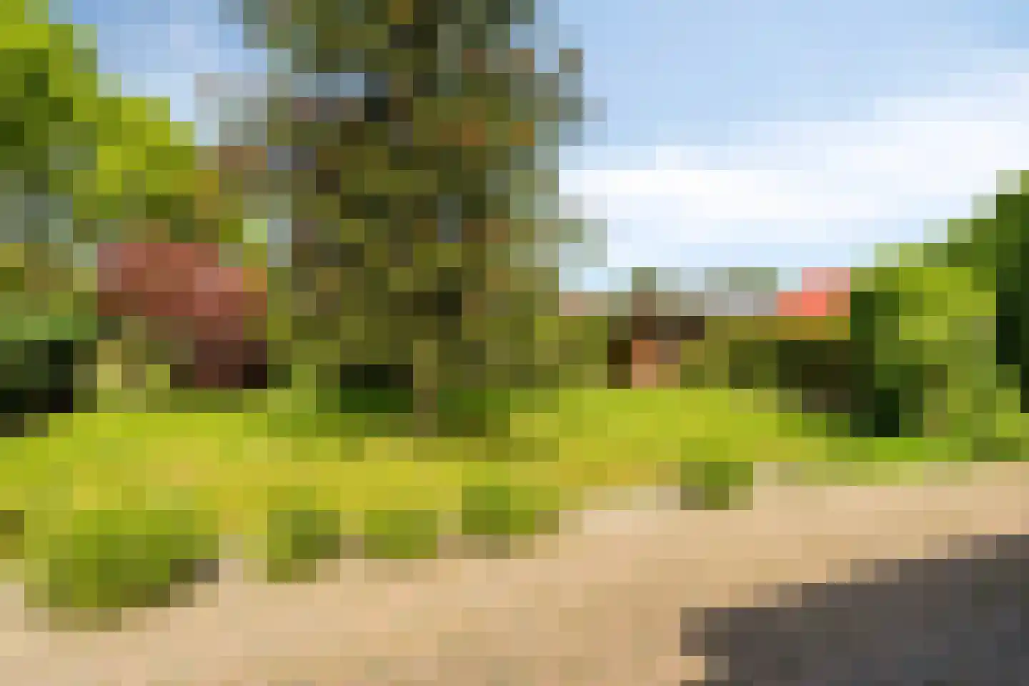 Scheemdermeersterweg 28 Scheemda thumbnail 15