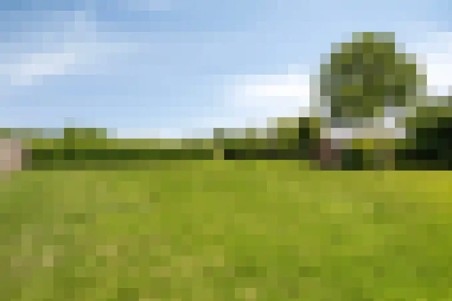 Scheemdermeersterweg 28 Scheemda thumbnail 47