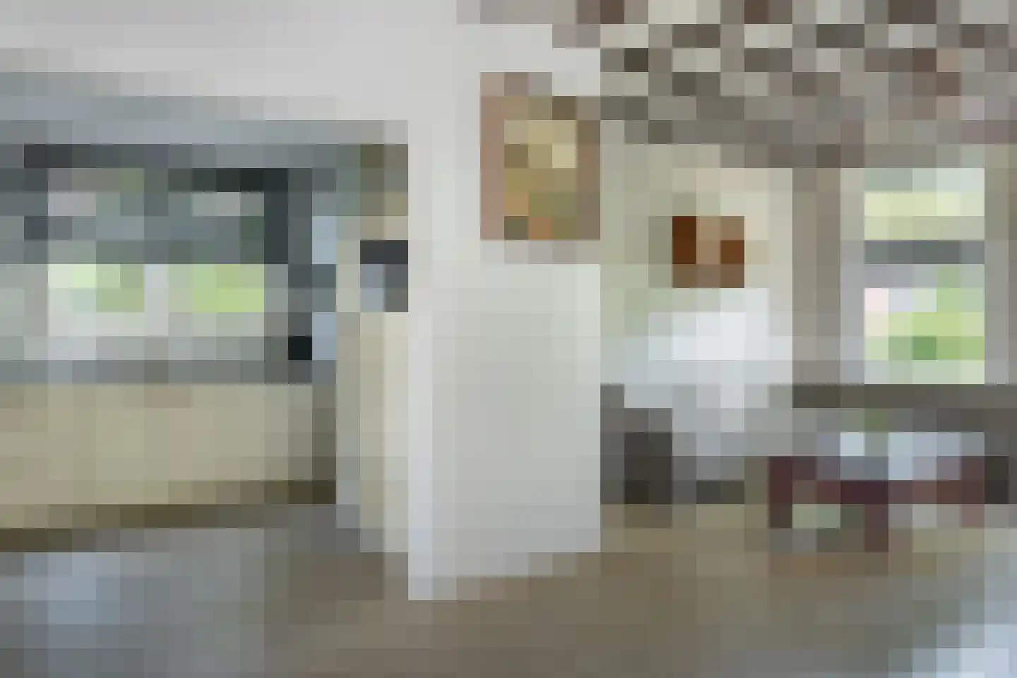 Scheen 14 Joure thumbnail 12
