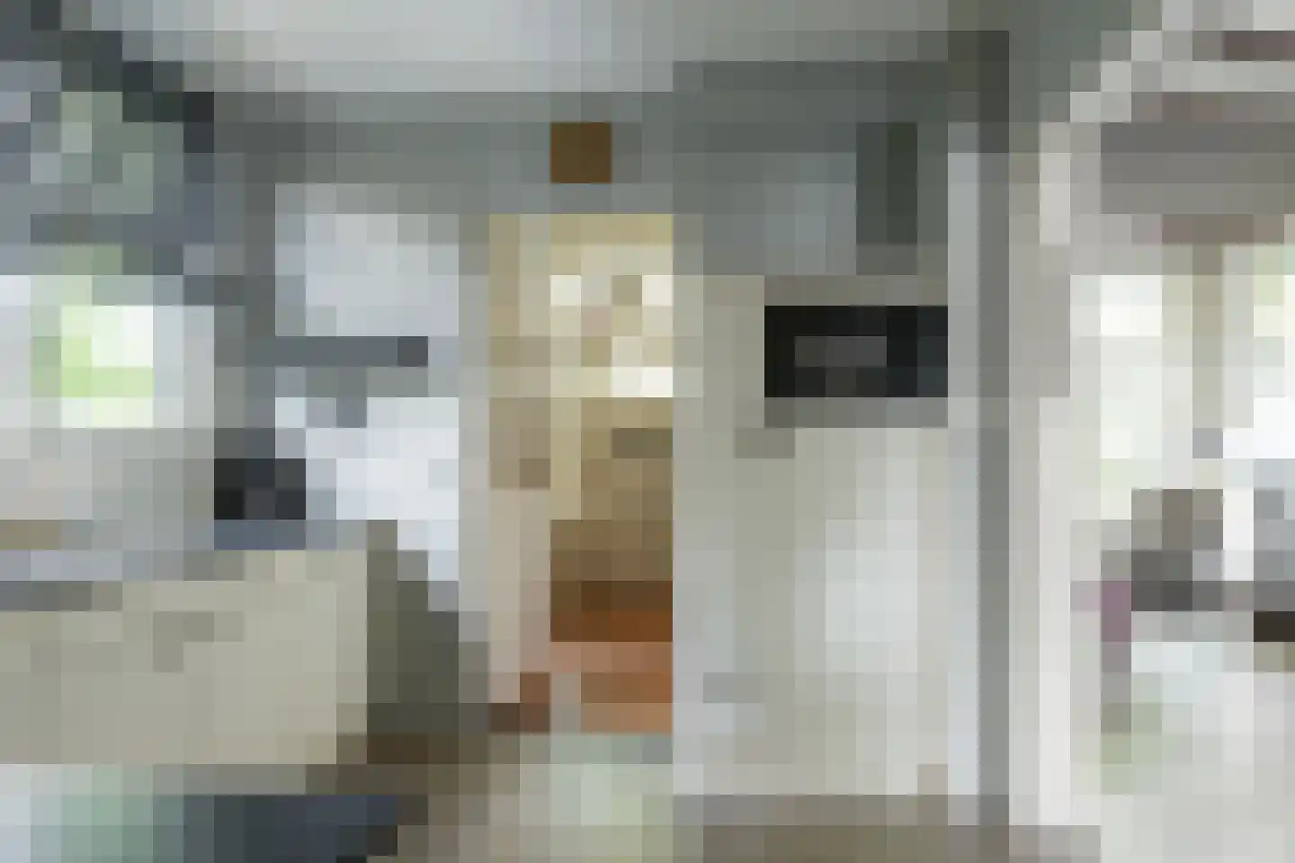 Scheen 14 Joure thumbnail 13