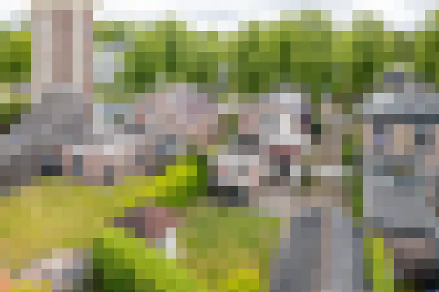 Scheen 14 Joure thumbnail 26