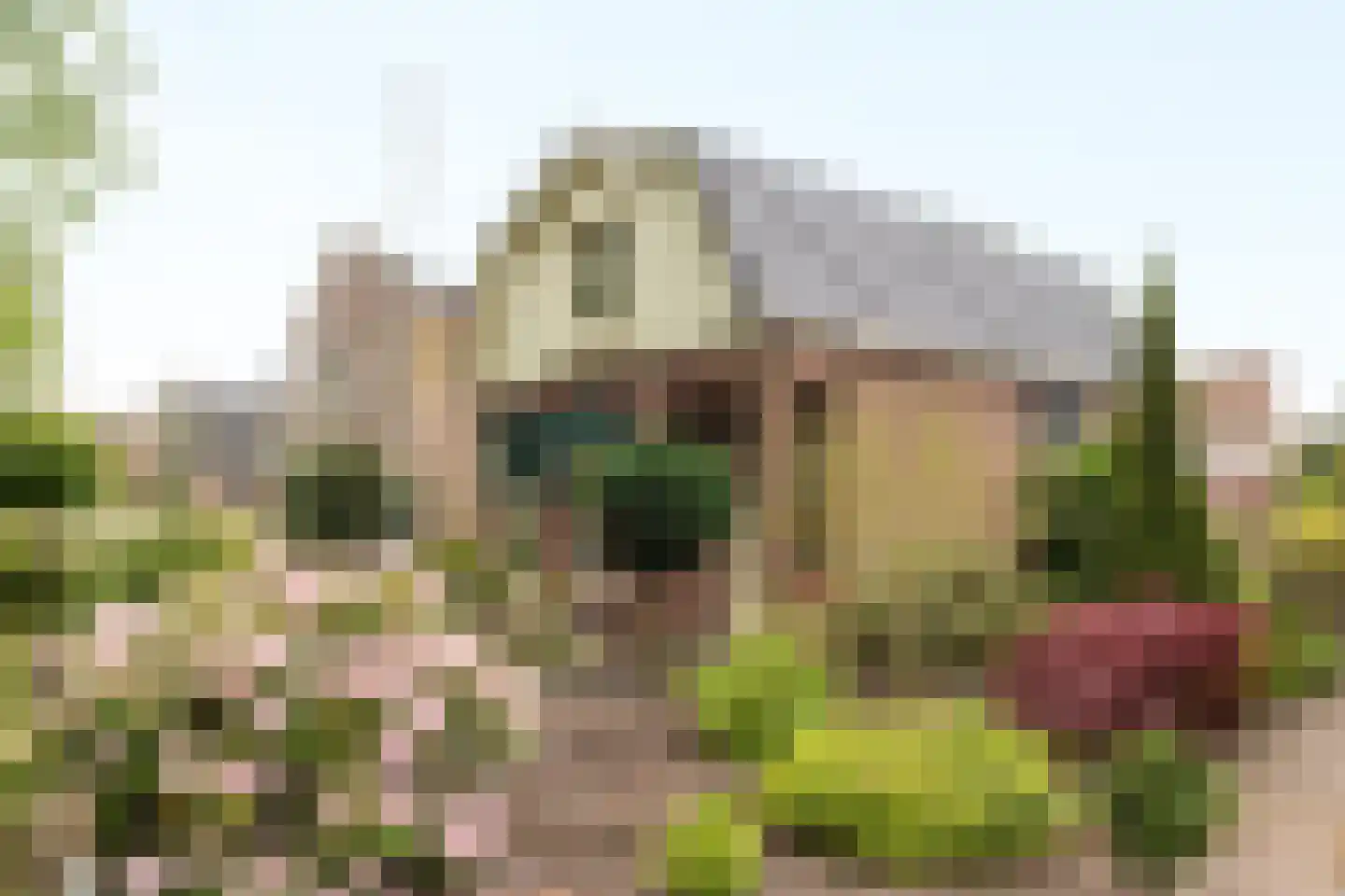 Scheen 14 Joure thumbnail 6