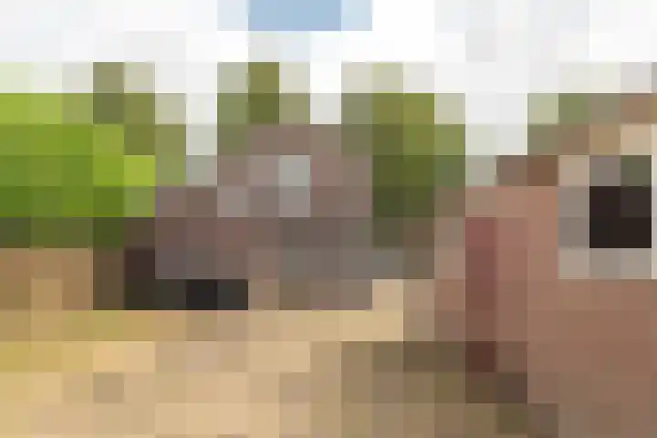 Scheen 20 Joure thumbnail 25