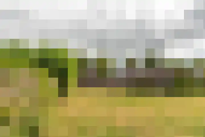 Scheen 20 Joure thumbnail 27