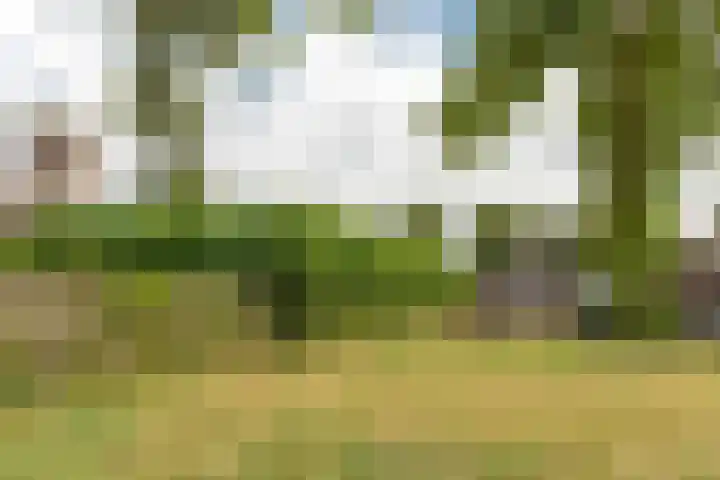Scheen 20 Joure thumbnail 28
