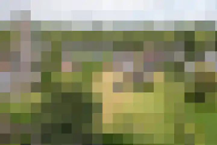 Scheen 20 Joure thumbnail 29
