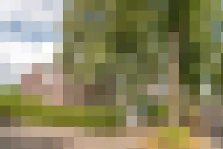 Scheen 20 Joure thumbnail 30