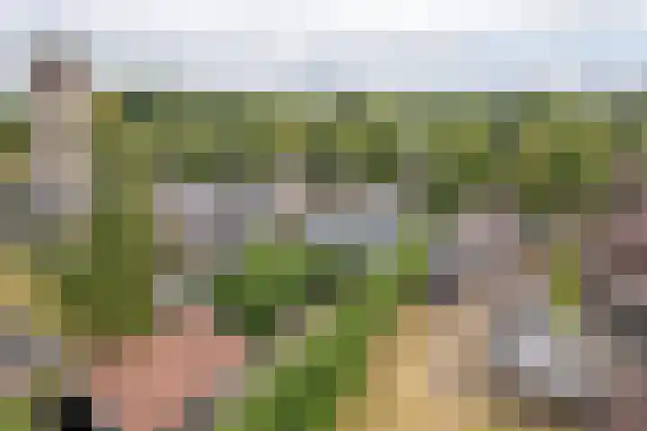 Scheen 20 Joure thumbnail 32