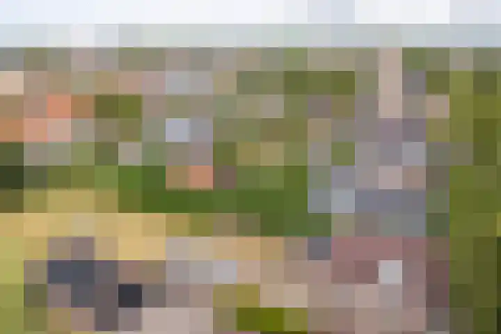 Scheen 20 Joure thumbnail 33