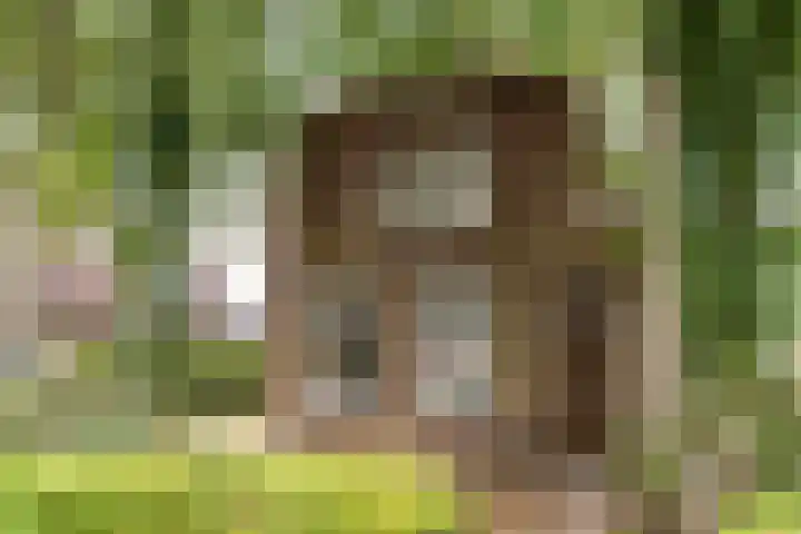 Scheen 20 Joure thumbnail 6
