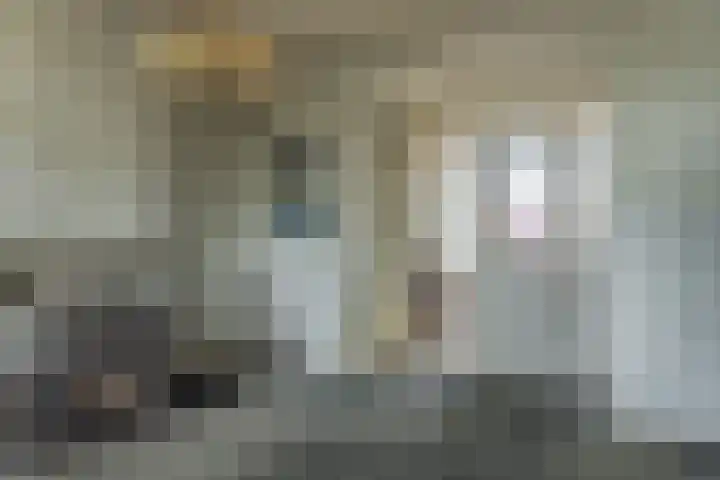 Scheen 20 Joure thumbnail 9