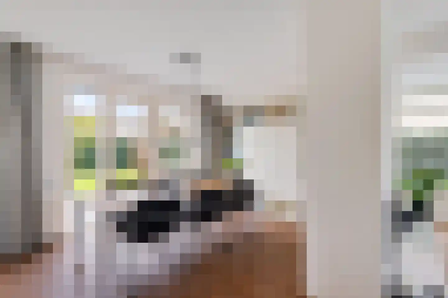 Scheen 33 Joure thumbnail 14