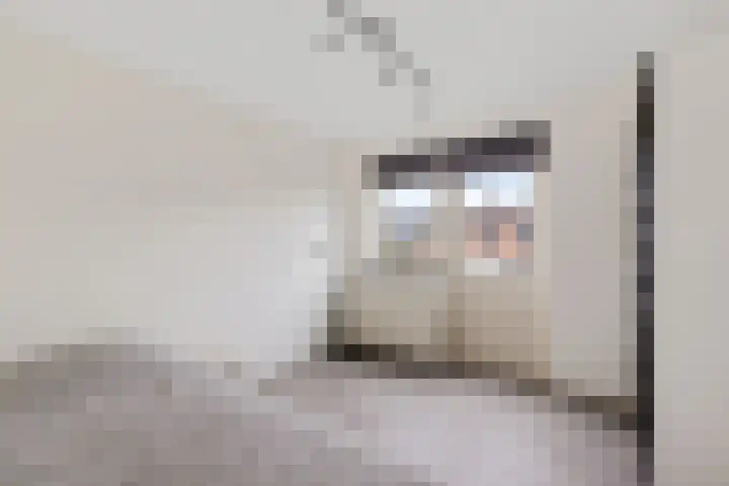 Scheen 33 Joure thumbnail 22