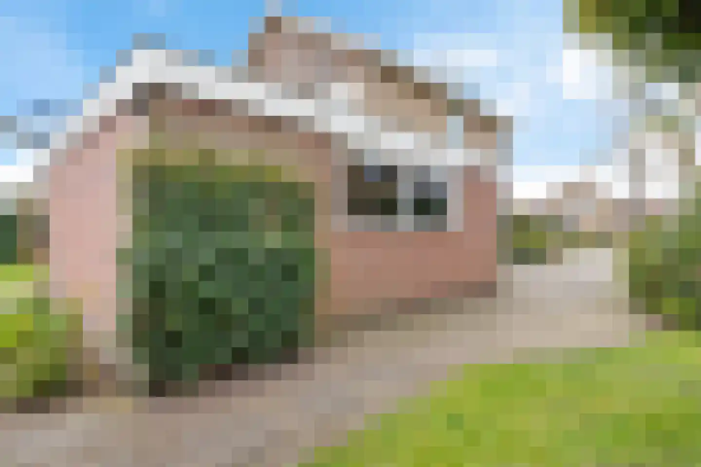 Scheen 33 Joure thumbnail 39