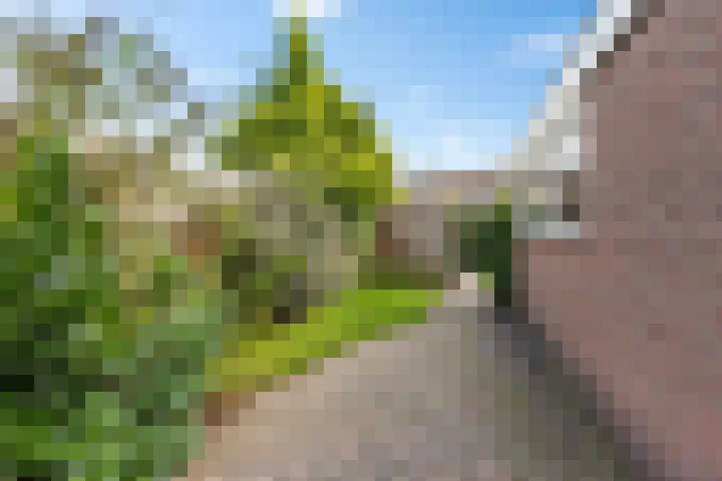 Scheen 33 Joure thumbnail 43
