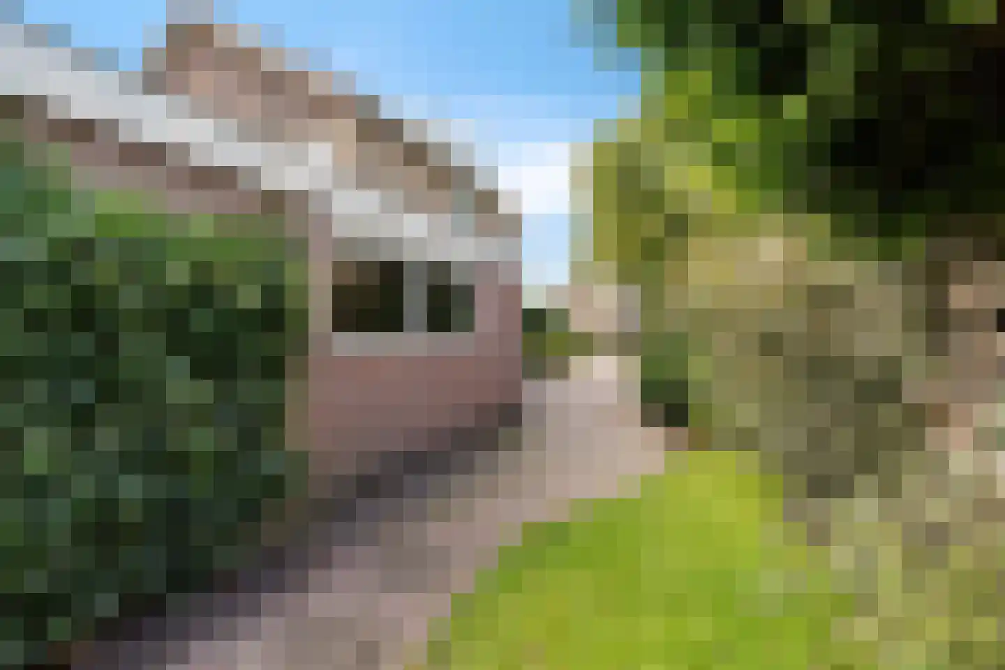 Scheen 33 Joure thumbnail 45