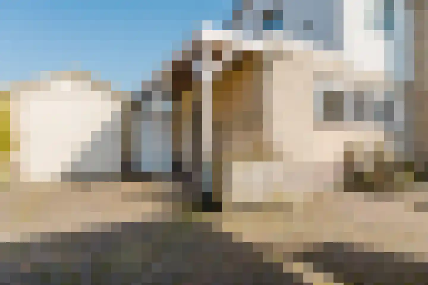 Scheen 68 Joure thumbnail 33