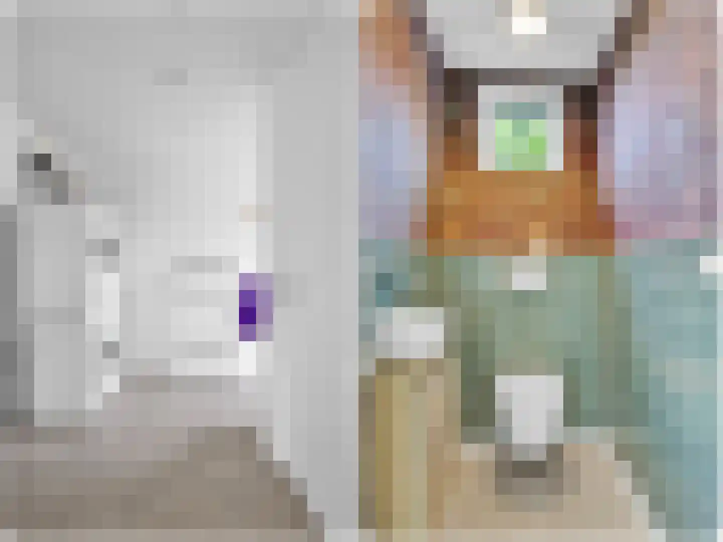 Scheen 75 Joure thumbnail 23