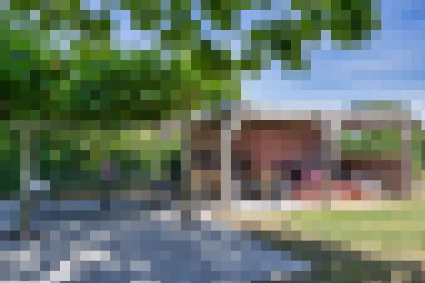 Scheen 75 Joure thumbnail 32