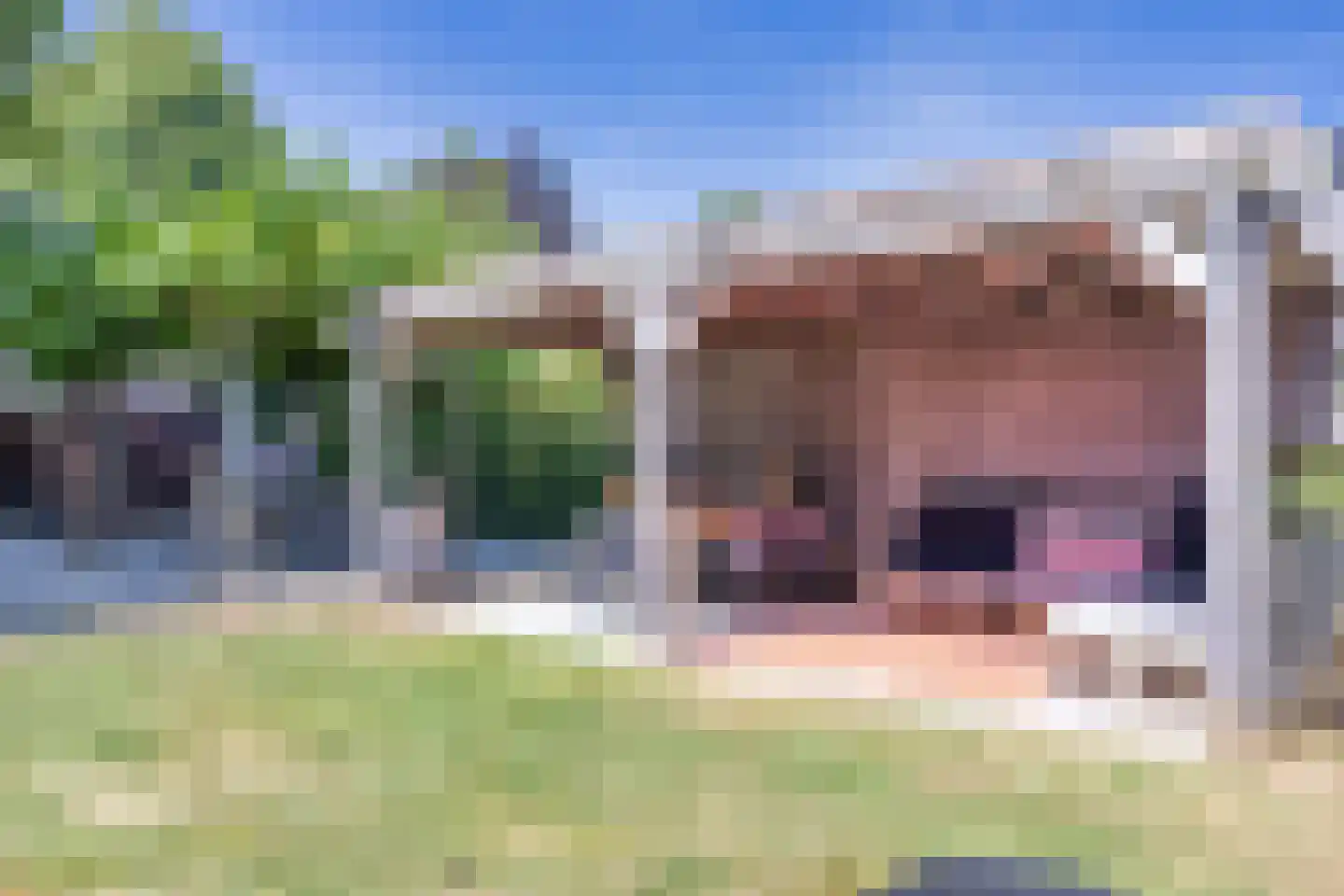 Scheen 75 Joure thumbnail 33