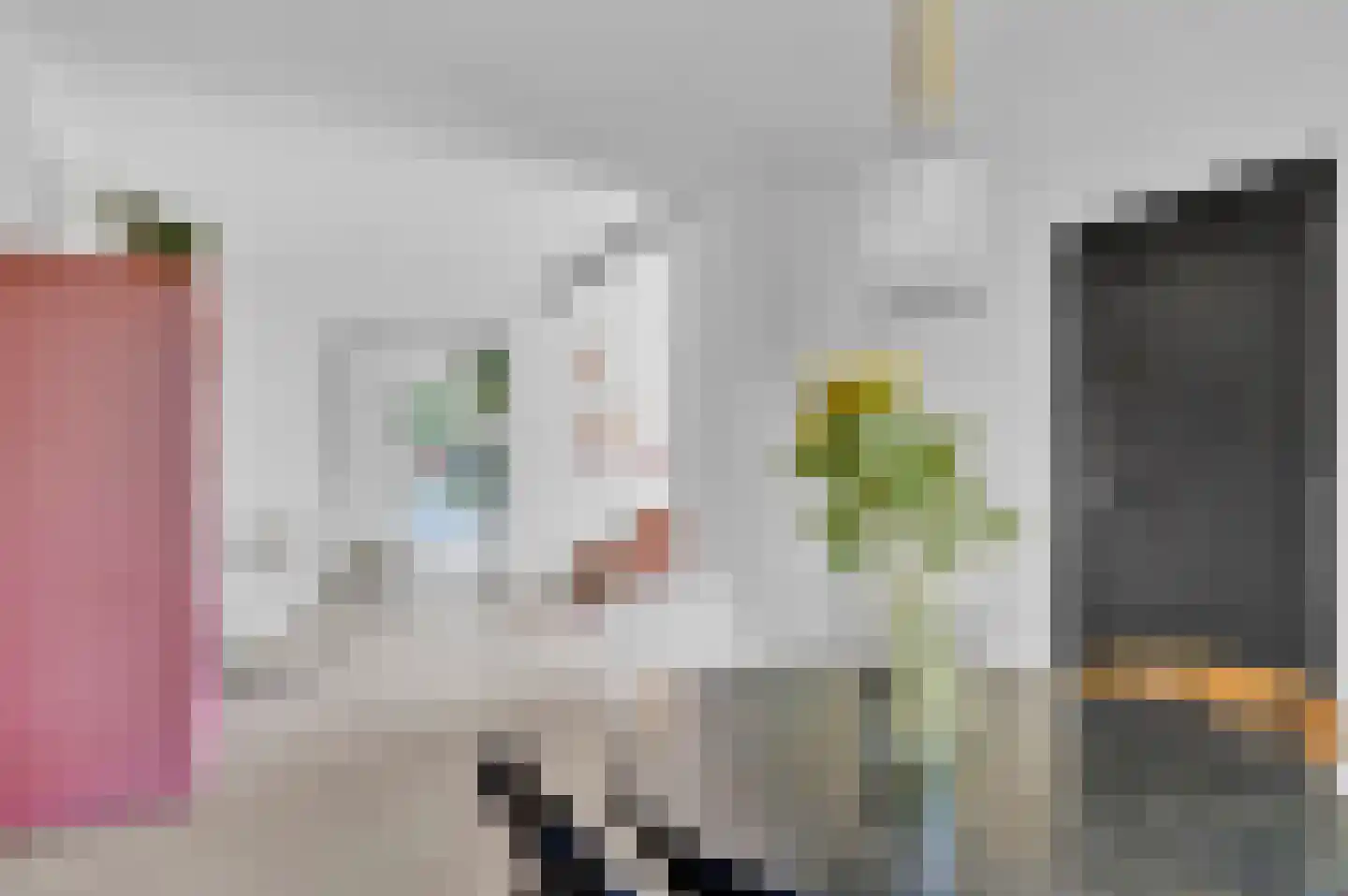 Scheen 75 Joure thumbnail 8