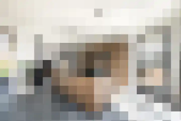 Scheen 77 Joure thumbnail 15