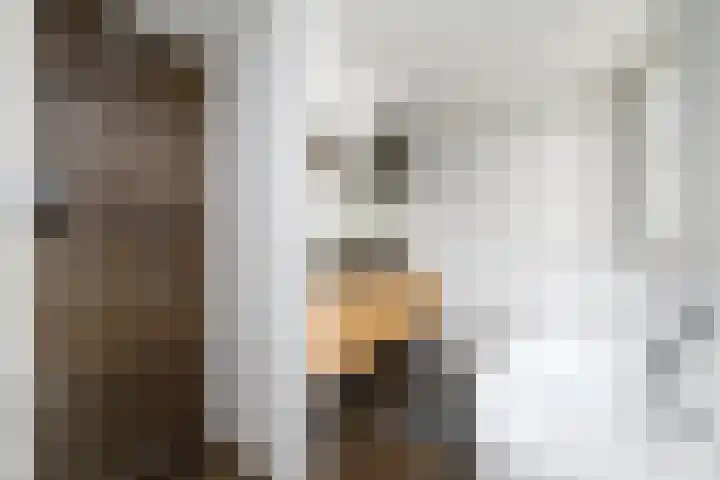 Scheen 77 Joure thumbnail 23