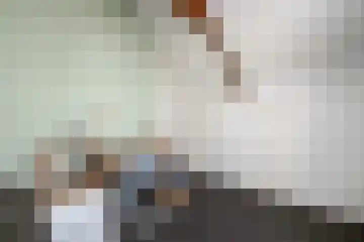 Scheen 77 Joure thumbnail 30