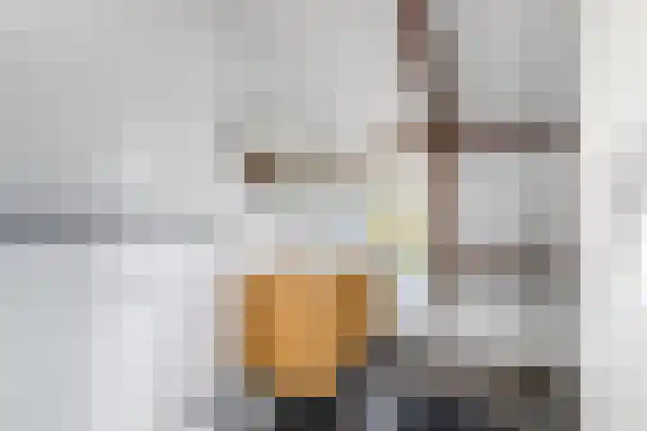 Scheen 77 Joure thumbnail 31