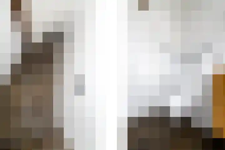 Scheen 77 Joure thumbnail 32