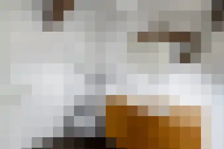 Scheen 77 Joure thumbnail 33