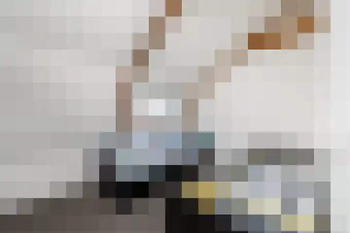 Scheen 77 Joure thumbnail 34