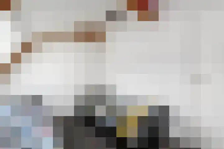 Scheen 77 Joure thumbnail 35